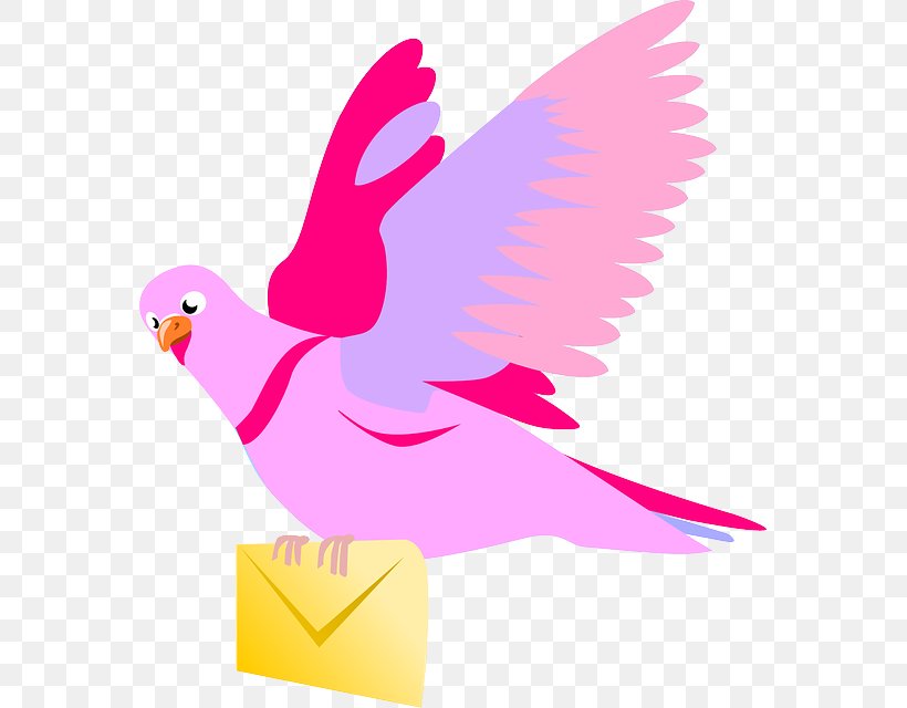 Columbidae English Carrier Pigeon Homing Pigeon Fantail Pigeon Clip Art, PNG, 567x640px, Columbidae, Artwork, Beak, Bird, Chicken Download Free