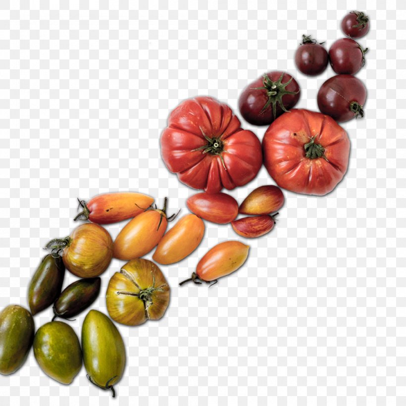 CurlyHost LLC Web Design Food Tomato, PNG, 1000x1000px, Web Design, Agriculture, Communitysupported Agriculture, Diet Food, Farm Download Free