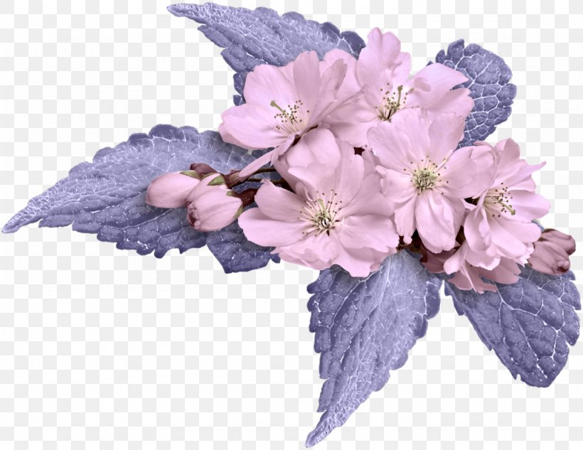 Cut Flowers Lilium ST.AU.150 MIN.V.UNC.NR AD Lilac, PNG, 1024x791px, Flower, Blossom, Cherry, Cherry Blossom, Cut Flowers Download Free