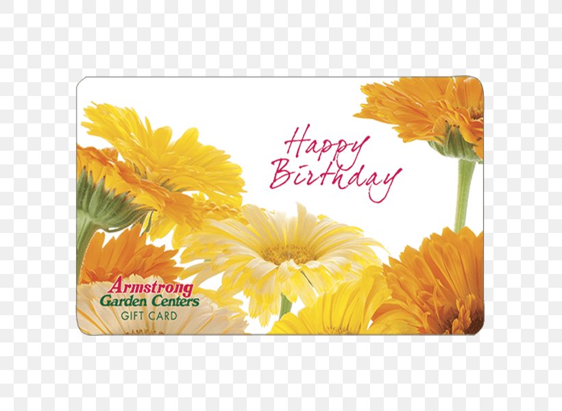 Gift Card Armstrong Garden Centers Greeting & Note Cards Birthday, PNG, 600x600px, Gift Card, Balloon, Birthday, Calendula, Cut Flowers Download Free