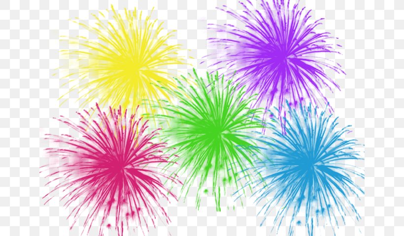 Party Free Content Clip Art, PNG, 660x480px, Party, Animation, Blog, Event, Fireworks Download Free