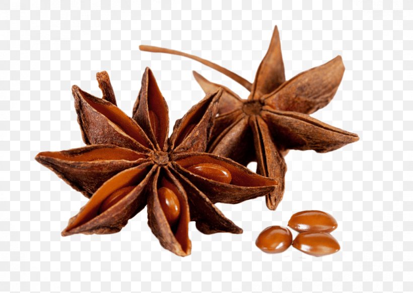 Spice Star Anise Foeniculum Vulgare Flavor, PNG, 1035x737px, Spice, Anice, Anise, Cinnamon, Cooking Download Free