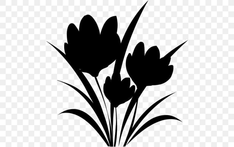 Tulip Clip Art Plant Stem Leaf Desktop Wallpaper, PNG, 500x517px, Tulip, Blackandwhite, Botany, Branching, Computer Download Free
