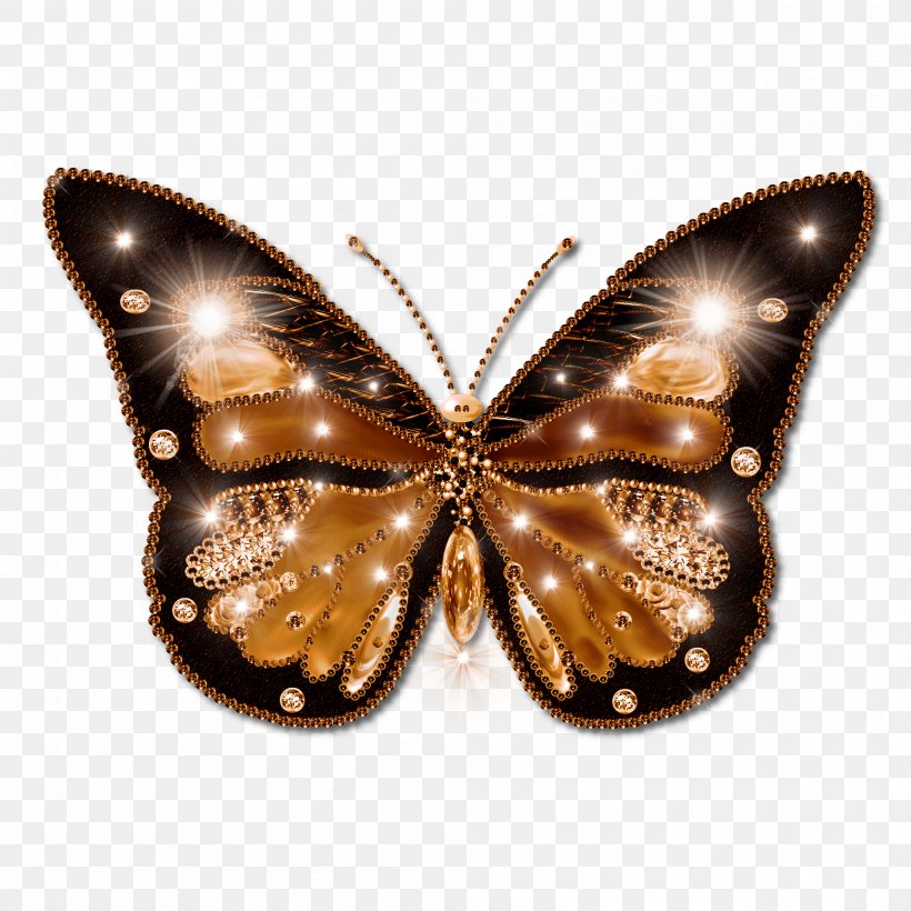 Butterfly Desktop Wallpaper Clip Art, PNG, 2000x2000px, Butterfly, Brush Footed Butterfly, Display Resolution, Highdefinition Video, Image File Formats Download Free