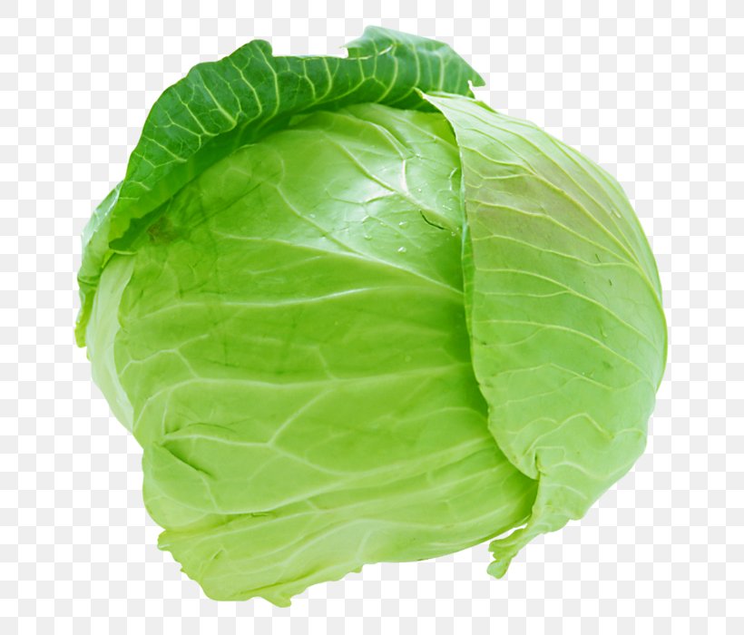Cabbage Cauliflower Coleslaw Leaf Vegetable, PNG, 714x700px, Cabbage, Brassica Oleracea, Broccoli, Brussels Sprout, Cauliflower Download Free