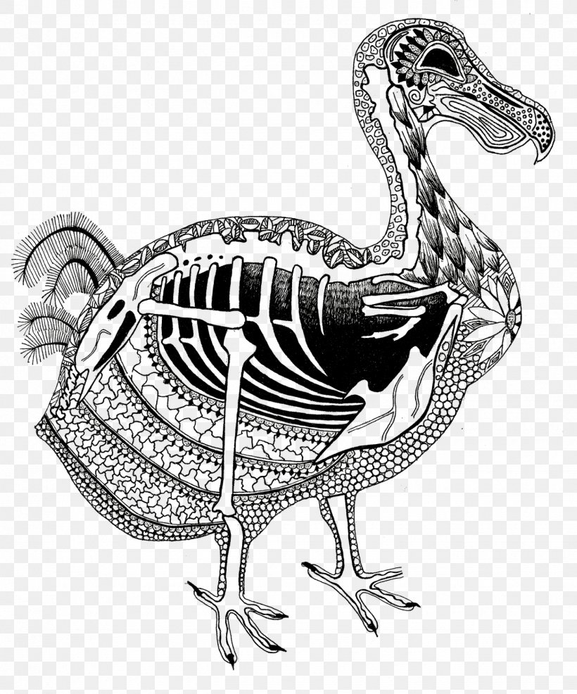 Chicken Duck Flightless Bird Dodo, PNG, 1330x1600px, Chicken, Anatidae, Art, Beak, Bird Download Free
