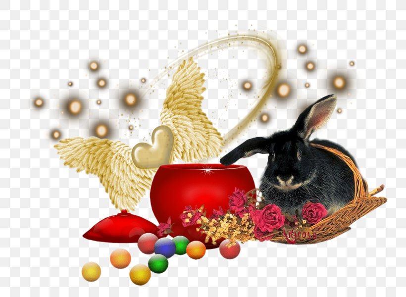 Christmas Ornament, PNG, 800x600px, Christmas Ornament, Christmas Download Free