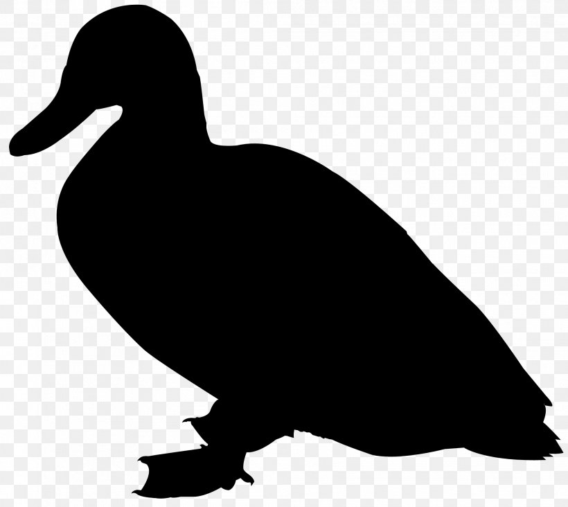 Duck Goose Clip Art Fowl Fauna, PNG, 2017x1801px, Duck, American Black Duck, Beak, Bird, Ducks Geese And Swans Download Free