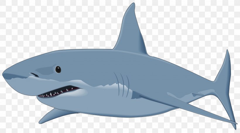 Great White Shark Clip Art, PNG, 3500x1949px, Shark, Blue Shark, Bull Shark, Cartilaginous Fish, Fauna Download Free