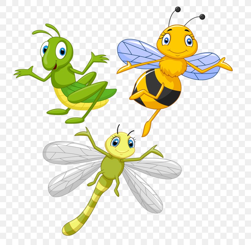 Honey Bee Clip Art Insect Illustration Image, PNG, 748x800px, Honey Bee, Animal Figure, Art, Artwork, Bee Download Free