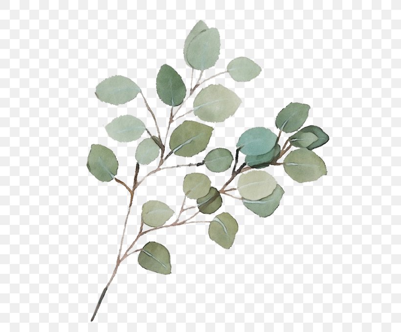 Leaf Flower Plant Branch Tree, PNG, 680x679px, Watercolor, Branch, Flower, Flowering Plant, Leaf Download Free