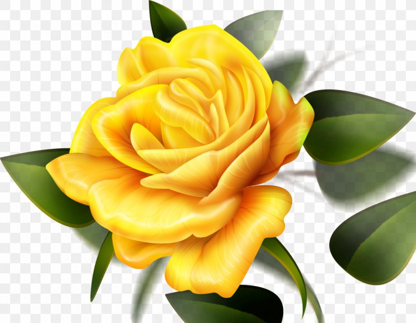 Rose Yellow Flower Desktop Wallpaper Color, PNG, 1280x997px, Rose, Color, Computer, Cut Flowers, Floral Design Download Free