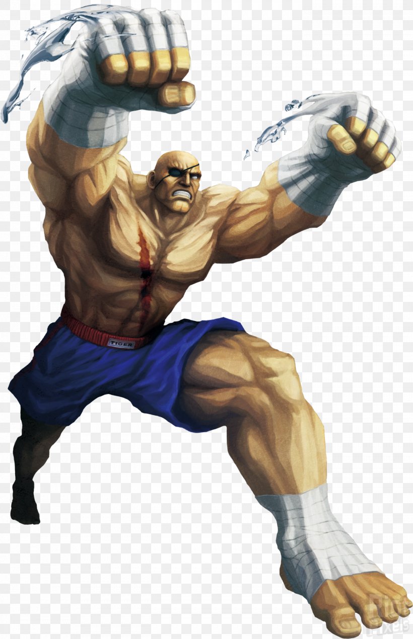 Street Fighter II: The World Warrior Street Fighter X Tekken Street Fighter V Street Fighter IV Street Fighter II: Champion Edition, PNG, 1394x2160px, Street Fighter Ii The World Warrior, Aggression, Arcade Game, Boss, Capcom Download Free