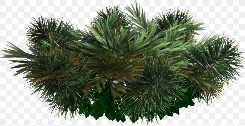 Christmas Wafer, PNG, 1156x595px, Christmas Wafer, Arecales, Asian Palmyra Palm, Borassus Flabellifer, Branch Download Free