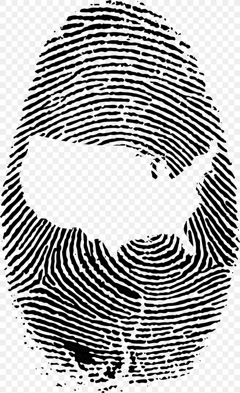 Fingerprint Live Scan Clip Art, PNG, 1412x2312px, Fingerprint, Area, Black, Black And White, Finger Download Free