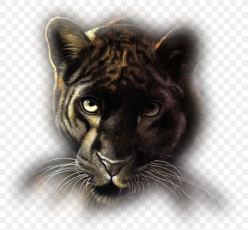 Lion Felidae Tiger Cheetah, PNG, 774x763px, Lion, Animaatio, Big Cat, Big Cats, Black Panther Download Free