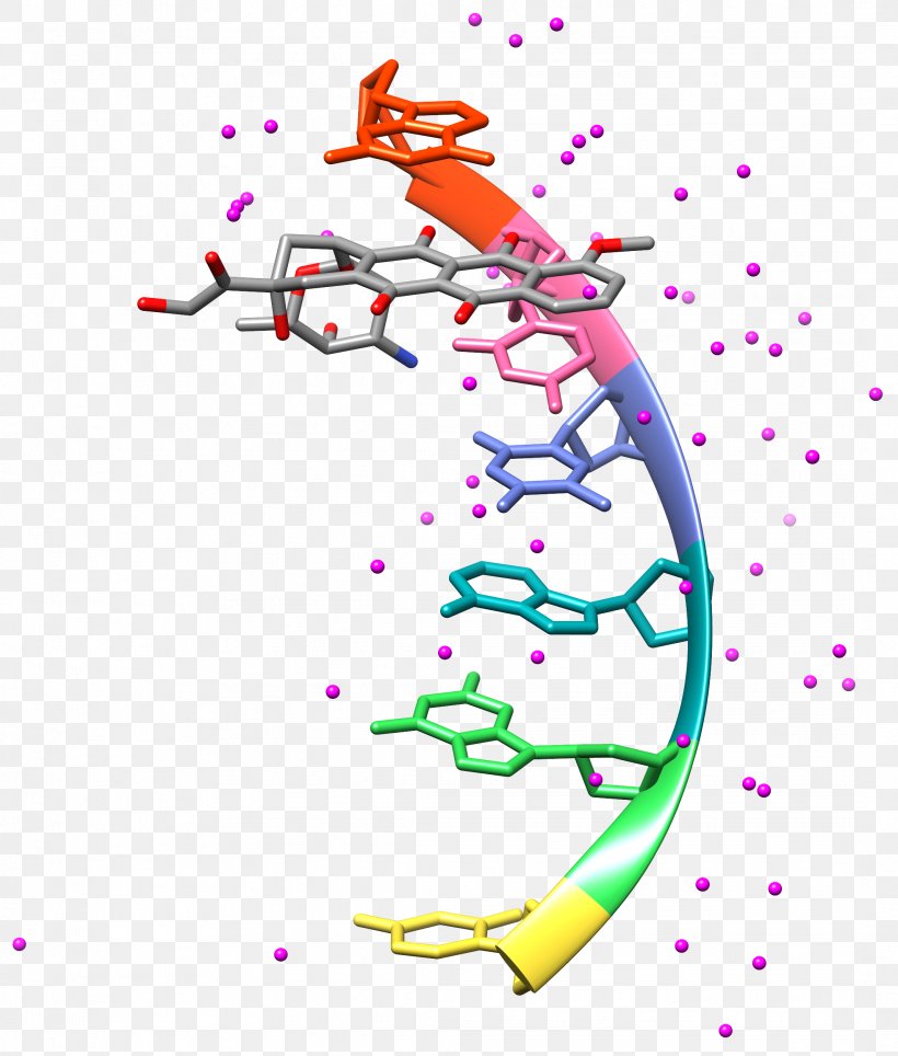 DNA Docking Molecule Organic Chemistry, PNG, 2136x2513px, Dna, Area, Body Jewelry, Chemistry, Docking Download Free