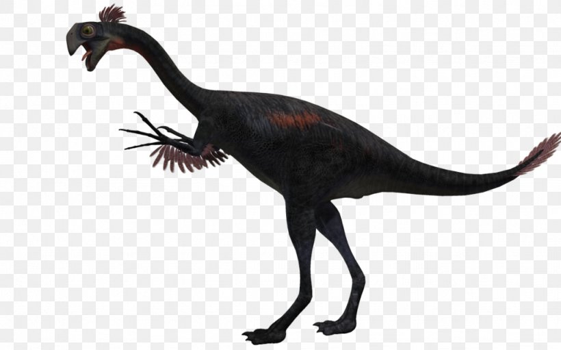 Gigantoraptor Velociraptor Alectrosaurus Bird Agathaumas, PNG, 1024x639px, Gigantoraptor, Agathaumas, Alectrosaurus, Animal, Bird Download Free