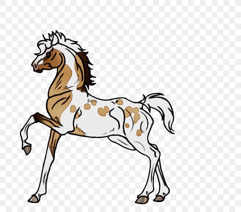 Horse Animal Figure Mane Line Art Mare, PNG, 720x720px, Watercolor, Animal Figure, Cartoon, Horse, Line Art Download Free