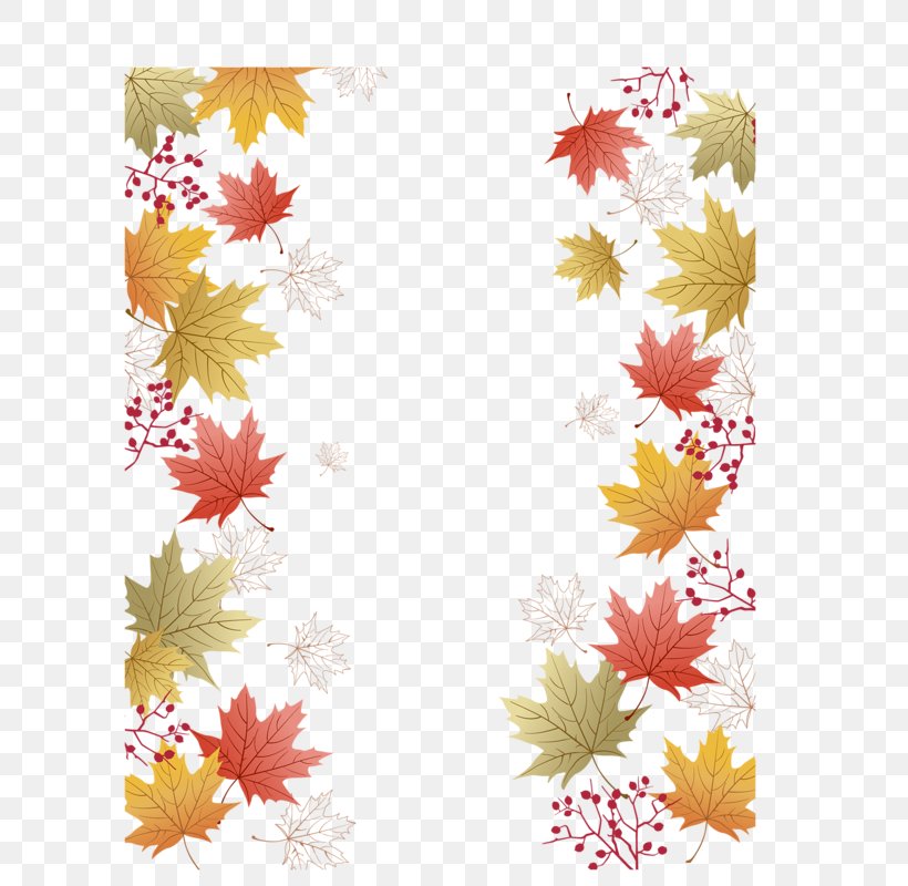 Maple Leaf Autumn Photography, PNG, 706x800px, Maple Leaf, Area, Autumn, Autumn Leaf Color, Floral Design Download Free