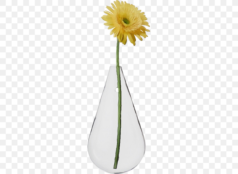 Plant Stem Vase Transvaal Daisy Cut Flowers Flower, PNG, 598x598px, Watercolor, Biology, Cut Flowers, Flower, Paint Download Free