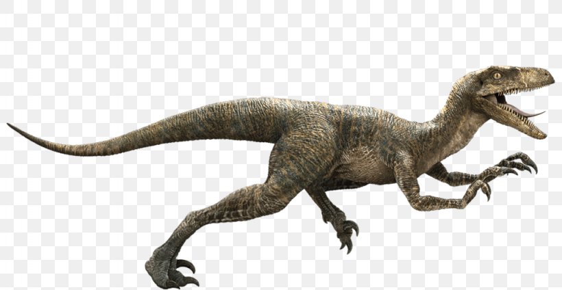 Velociraptor Jurassic Park Owen Indominus Rex Deinonychus, PNG, 1024x530px, Velociraptor, Animal Figure, Chris Pratt, Deinonychus, Dinosaur Download Free