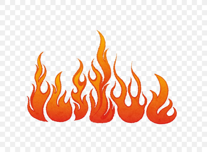 Flame Fire Logo Png 800x600px Flame Cartoon Combustion Fire Logo Download Free