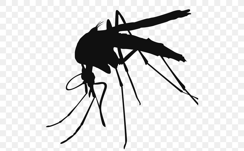 Mosquito Control Clip Art, PNG, 512x510px, Mosquito, Arthropod, Black And White, Fly, Information Download Free