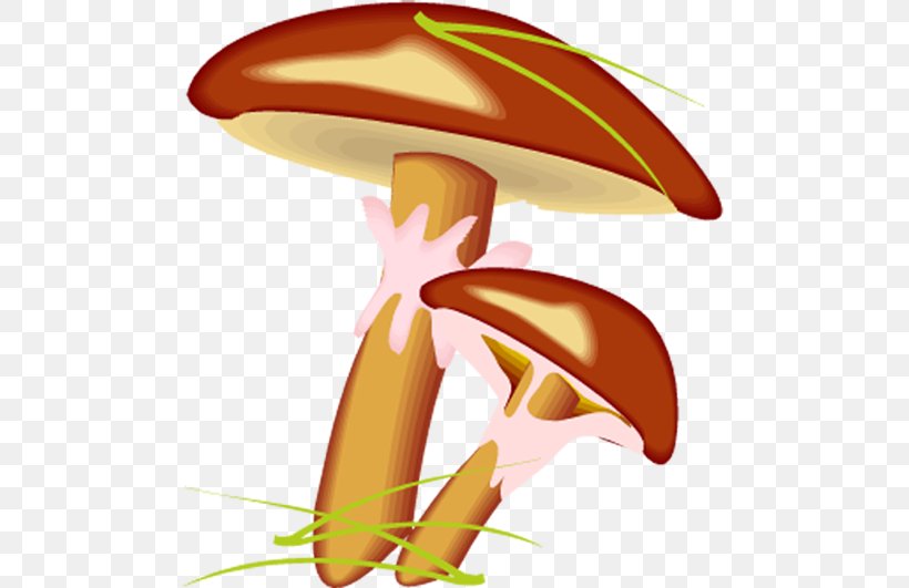 Suillus Luteus Mushroom Suillus Bovinus, PNG, 489x531px, Suillus Luteus, Animaatio, Cartoon, Drawing, Fungus Download Free