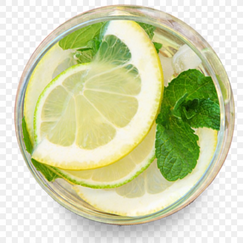 Juice Maghrebi Mint Tea Lemon Drink, PNG, 1417x1417px, Juice, Alkaline Diet, Citric Acid, Citrus, Drink Download Free
