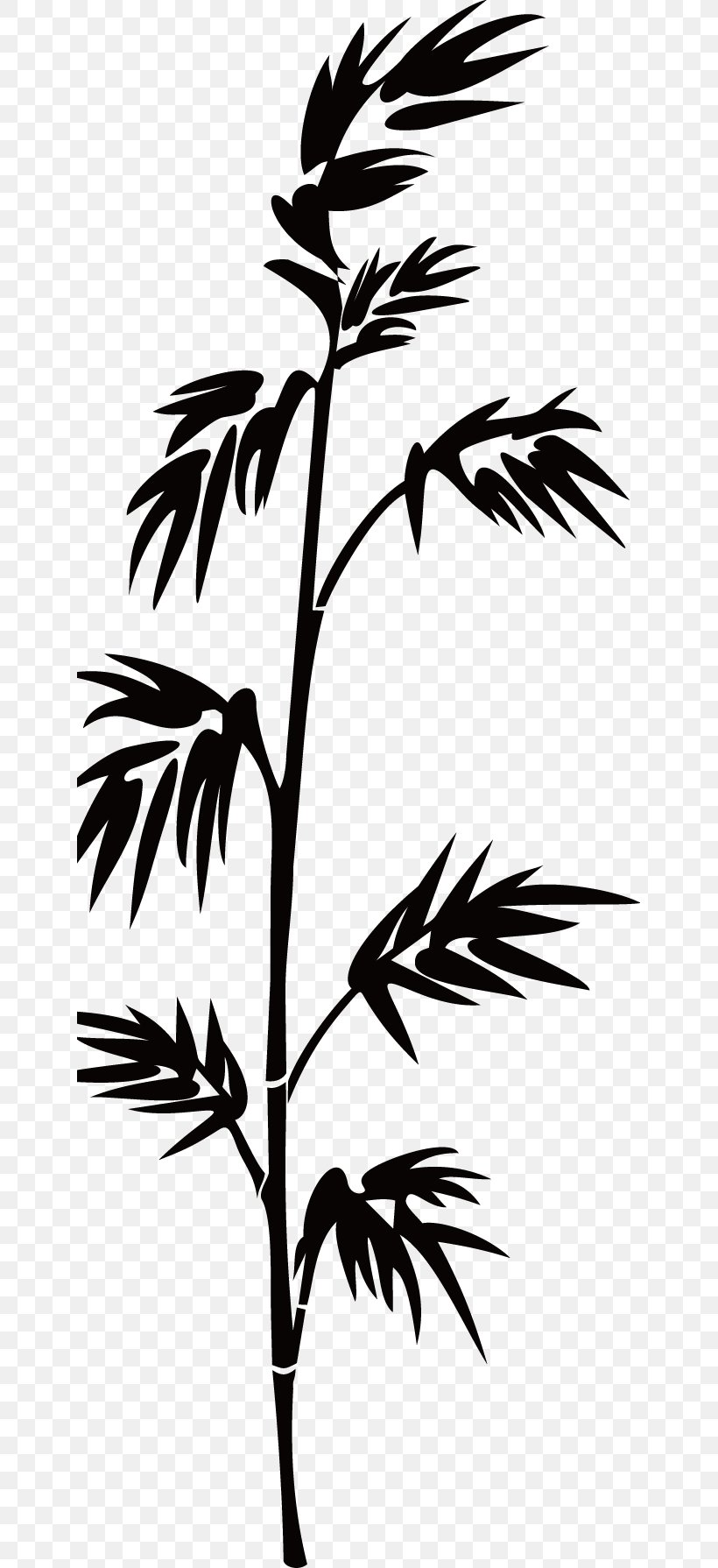 Bamboo Silhouette Bamboe, PNG, 643x1790px, Bamboo, Arecales, Bamboe, Black And White, Branch Download Free