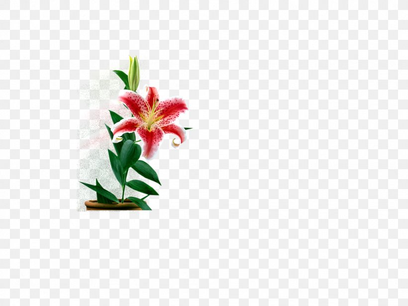 Cut Flowers Floral Design Clip Art, PNG, 1024x768px, Flower, Blog, Cut Flowers, Flora, Floral Design Download Free