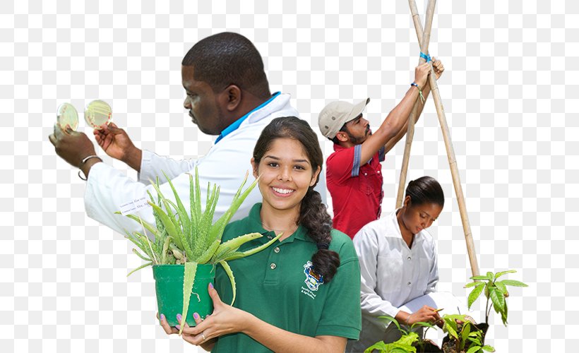 U.W.I. Faculty Of Food And Agriculture University Of The West Indies National FFA Organization, PNG, 700x500px, Agriculture, Community, Energy, Food, Food And Agriculture Organization Download Free