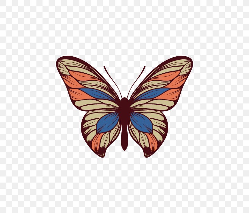 Butterfly, PNG, 700x700px, Butterfly, Brush Footed Butterfly, Cdr, Drawing, Insect Download Free