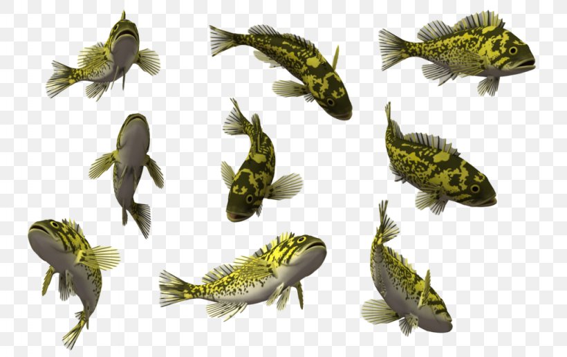 Light Fish Photo Manipulation Clip Art, PNG, 1024x645px, Light, Amphibian, Animal, Deep Sea Creature, Digital Photography Download Free