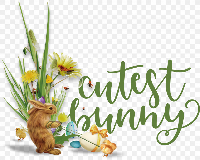 Cutest Bunny Happy Easter Easter Day, PNG, 3000x2408px, Cutest Bunny, Animation, Black And White, Cartoon, Character Download Free