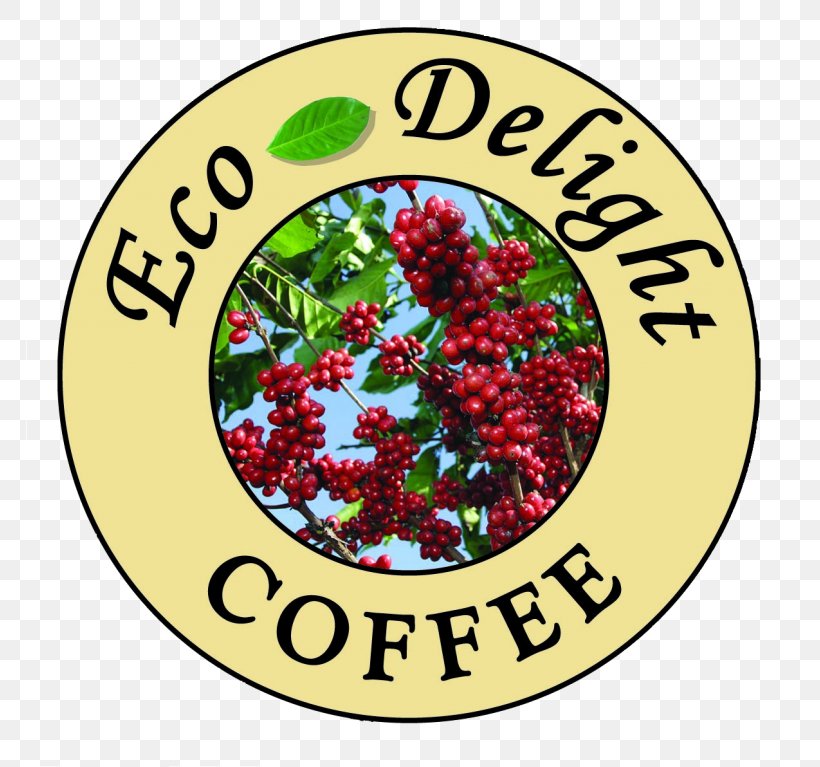 Eco-Delight Coffee Roasting Company Matagalpa, Nicaragua Tarrazú Jinotega, PNG, 768x767px, Coffee, Bean, California, Christmas Decoration, Christmas Ornament Download Free
