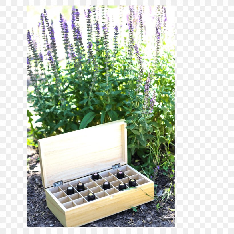 Essential Oil Lavender Box Rocky Mountain Oils, PNG, 840x840px, Oil, Box, Essential Oil, Flowerpot, Grass Download Free