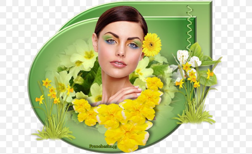 Floral Design Cut Flowers, PNG, 645x502px, Floral Design, Cut Flowers, Floristry, Flower, Flower Arranging Download Free