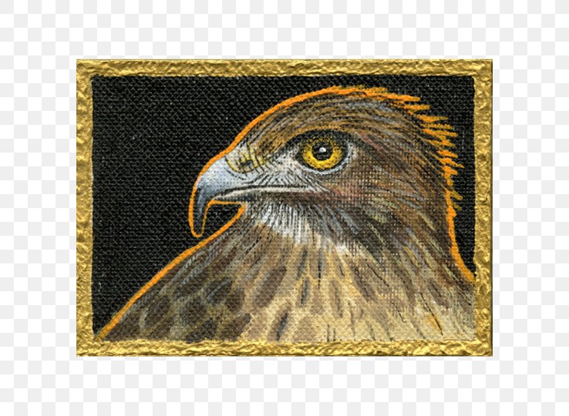 Bald Eagle Riverstone Gallery Bird Hawk, PNG, 600x600px, Bald Eagle, Backlight, Beak, Bird, Bird Of Prey Download Free