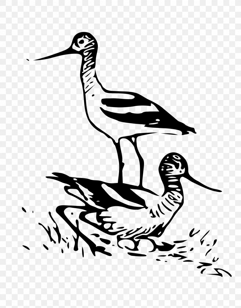 Bird Drawing Line Art Clip Art, PNG, 1879x2400px, Bird, Animal, Art, Artwork, Beak Download Free