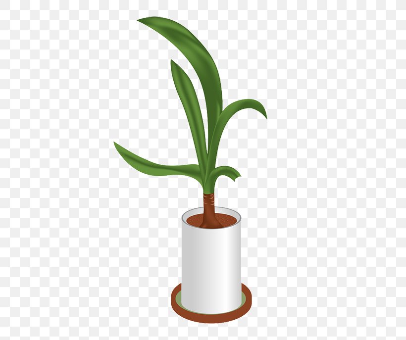 Download Flowerpot, PNG, 500x687px, Flowerpot, Flower, Google Images, Leaf, Plant Download Free