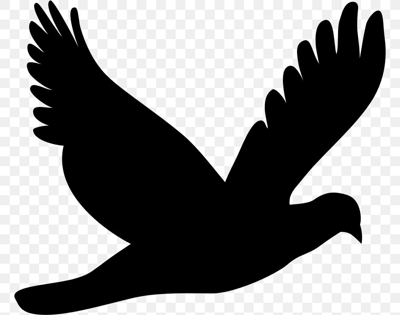Columbidae Silhouette Clip Art, PNG, 762x645px, Columbidae, Beak, Bird, Black And White, Dove Download Free