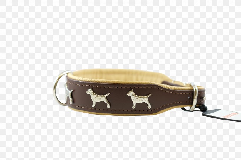 Leash Dog Collar, PNG, 1600x1067px, Leash, Beige, Brown, Collar, Dog Download Free