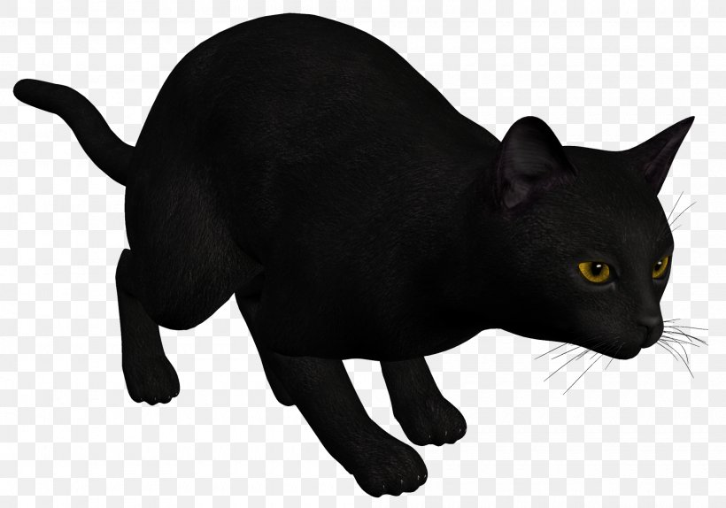 Cat Kitten Drawing Clip Art, PNG, 2000x1402px, Cat, Asian, Black, Black Cat, Bombay Download Free