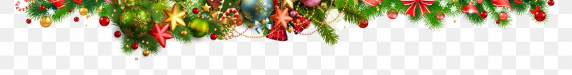 Forensic Science Christmas Academic Conference Kellys, PNG, 1619x214px, Science, Academic Conference, Bicycle, Bicycle Shop, Branch Download Free