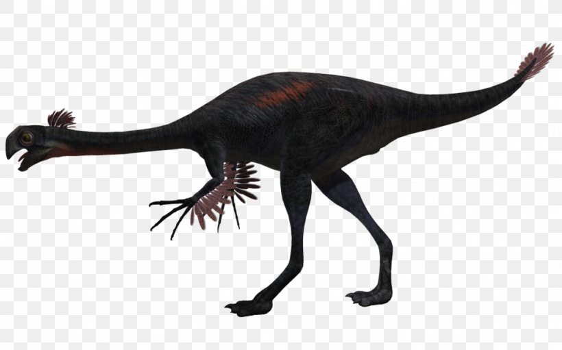 Gigantoraptor Velociraptor Kentrosaurus Dinosaur Animal, PNG, 1024x639px, Gigantoraptor, Animal, Art, Bird, Com Download Free
