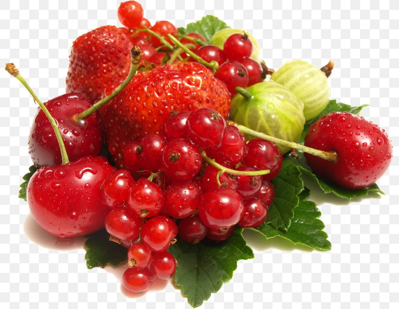 Kissel Food Processor Recipe Redcurrant, PNG, 800x634px, Kissel, Berry, Blender, Calorie, Cherry Download Free