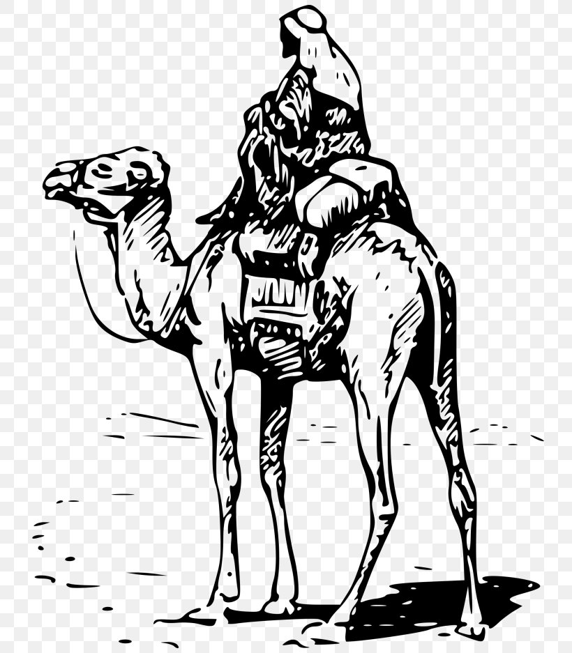 Dromedary Bactrian Camel Silk Road Equestrian Clip Art, PNG, 768x937px, Dromedary, Arabian Camel, Art, Bactrian Camel, Black And White Download Free