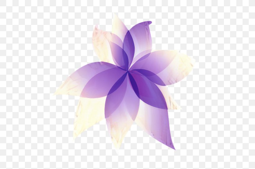 Frangipani Flower, PNG, 533x543px, Purple, Computer, Flower, Frangipani, Logo Download Free